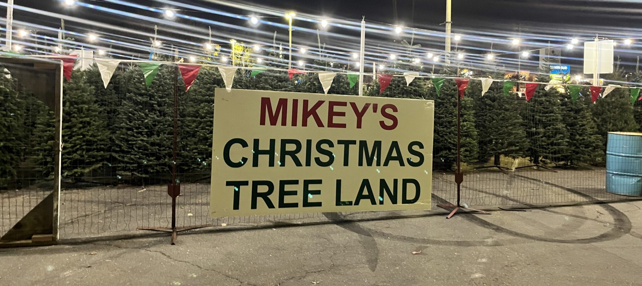 Mikey's Christmas Trees for sale - Christmas Tree Lot and Farm